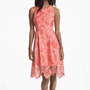 White House Black Market Coral Lace Floral‎ Fit Flare Dress